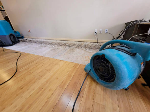 Professional Water Damage Repair technician working in Mendham, NJ